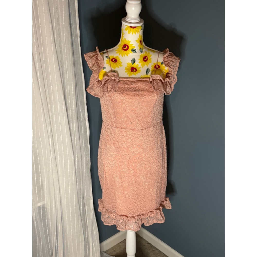 Lace Zexxy Pink Dress, Women's Large